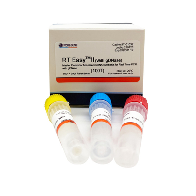 Rechts EasyTM II met Omgekeerde Transcriptieinleidingen om Hoofdpremix voor eerste-Bundelcdna Synthese/PCR In real time te gebruiken