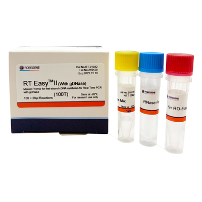 Rechts EasyTM II met Omgekeerde Transcriptieinleidingen om Hoofdpremix voor eerste-Bundelcdna Synthese/PCR In real time te gebruiken
