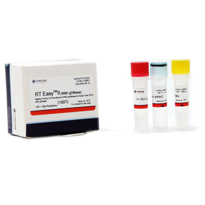 Gemakkelijke II Hoofdpremix van rechts voor Eerste Bundelcdna Synthese met GDNase