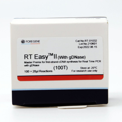 Gemakkelijke II Hoofdpremix van rechts voor Eerste Bundelcdna Synthese met GDNase