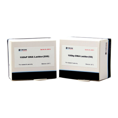 50 Bp aan 15 Kb Tellers en de Ladders van DNA voor Agarose Gelelektroforese