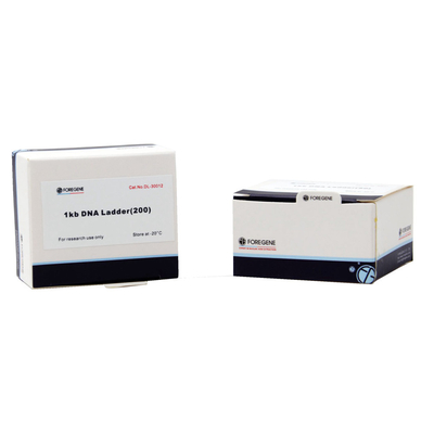 Agarose de Ladder van het Gebruiksdna van de Gelelektroforese met Grootte die zich van 1 Kb aan 8 Kb uitstrekken