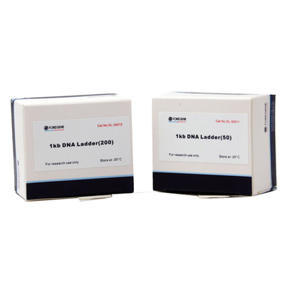 Agarose de Ladder van het Gebruiksdna van de Gelelektroforese met Grootte die zich van 1 Kb aan 8 Kb uitstrekken