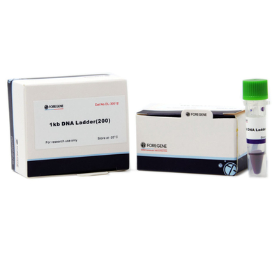 Agarose de Ladder van het Gebruiksdna van de Gelelektroforese met Grootte die zich van 1 Kb aan 8 Kb uitstrekken