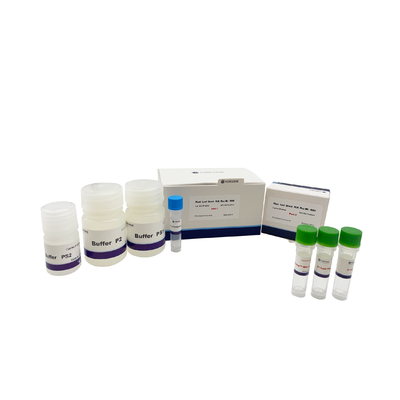 Directe PCR van het installatieblad plus Uitrustingsung PCR de Polymeraselysis van Uitrustingsdna het Blad van de Bufferinstallatie voor Transgenic Installaties
