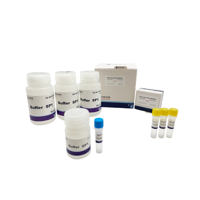 PCR van het installatiezaad Directe Uitrustingsi/ii Pcr Kit Lysis Buffer Ce Iso Ladingsbuffer voor Transgenic Installaties