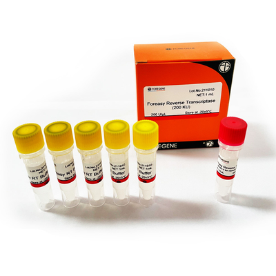 Foreasy m-MLV Omgekeerde Transcriptase voor CDNA-de Uitbreidingspcr van de Syntheseinleiding Uitrustingen met DNA-Polymerase