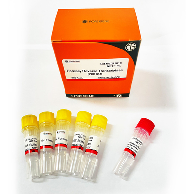 Foreasy m-MLV Omgekeerde Transcriptase voor CDNA-de Uitbreidingspcr van de Syntheseinleiding Uitrustingen met DNA-Polymerase