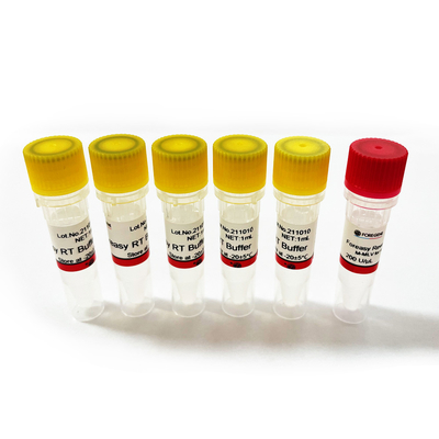 Foreasy m-MLV Omgekeerde Transcriptase voor CDNA-de Uitbreidingspcr van de Syntheseinleiding Uitrustingen met DNA-Polymerase