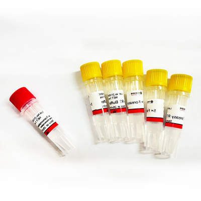 Foreasy m-MLV Omgekeerde Transcriptase voor CDNA-de Uitbreidingspcr van de Syntheseinleiding Uitrustingen met DNA-Polymerase