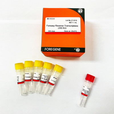 Foreasy m-MLV Omgekeerde Transcriptase voor CDNA-de Uitbreidingspcr van de Syntheseinleiding Uitrustingen met DNA-Polymerase