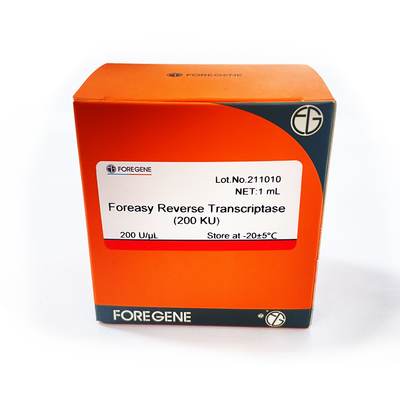 Foreasy m-MLV Omgekeerde Transcriptase voor CDNA-de Uitbreidingspcr van de Syntheseinleiding Uitrustingen met DNA-Polymerase