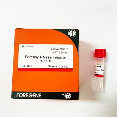 RN-aseinhibitor van Foreasy van de RNAbescherming voor Omgekeerde de Transcriptieuitrustingen van het Transcriptiesysteem