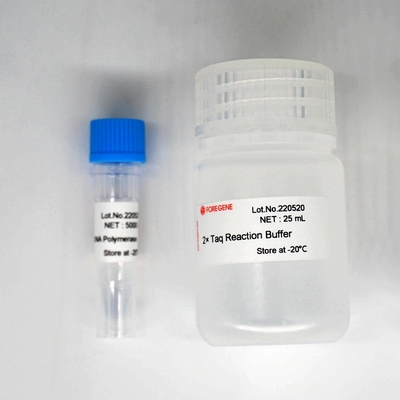 Van de Polymerasehotstar Taq van DNA van Foreasytaq de Polymerase Kit For PCR/QPCR