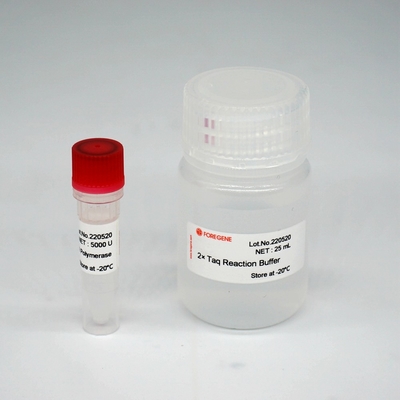 Foreasyhs Taq van de Polymerase Super HotStar Taq van DNA het Enzymmengeling voor PCR/QPCR