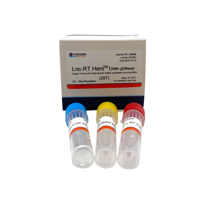 Lnc-rechts HeroTM I (met gDNase) Super Premix voor eerste-bundel cDNA synthese van lncRNA Cat.No.RTL-09098/09099
