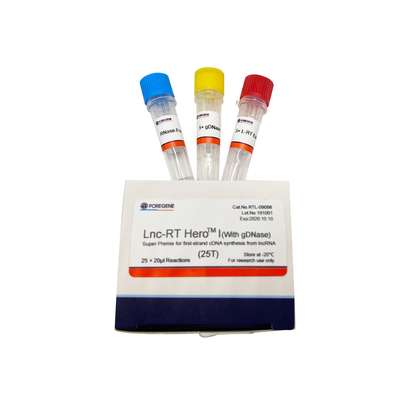 Lnc-rechts HeroTM I (met gDNase) Super Premix voor eerste-bundel cDNA synthese van lncRNA Cat.No.RTL-09098/09099