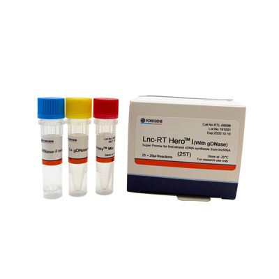Lnc-rechts HeroTM I (met gDNase) Super Premix voor eerste-bundel cDNA synthese van lncRNA Cat.No.RTL-09098/09099