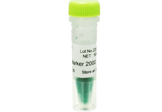 2000bp DNA-Tellersagarose Gelpcr de Ladder van Uitrustingsdna voor Onderzoek