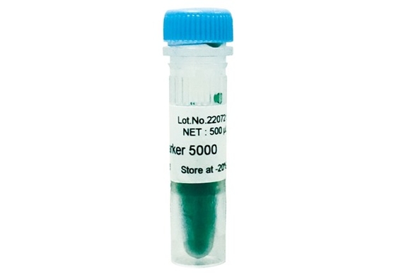 DNA-Tellersagarose Gelpcr de Ladder 5000bp van Uitrustingsdna voor Tests van de Onderzoek de Moleculaire Biologie