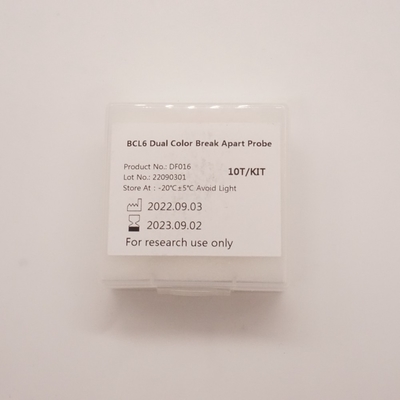 BCL6 Dual Color Break Apart-sonde voor het detecteren van afwijkingen van het menselijke BCL6-gen