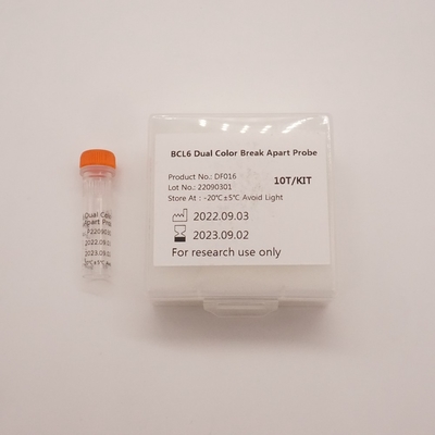 BCL6 Dual Color Break Apart-sonde voor het detecteren van afwijkingen van het menselijke BCL6-gen