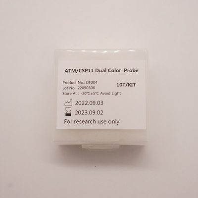 ATM/CSP11 tweekleurige sonde voor het detecteren van afwijkingen van het menselijke ATM(11q22)-gen