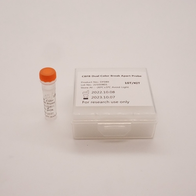 Fluorescentie In Situ Hybridisatie Reagens CBFB Dual Color Break Apart Probe