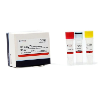 CDNA-Synthesepcr Hoofdpremix Omgekeerde Transcriptie rechts Gemakkelijke II 50T 200T