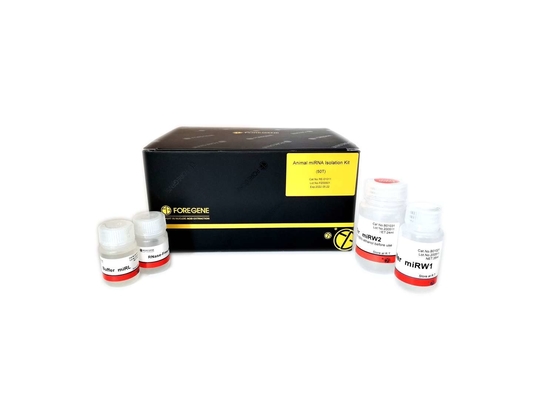 99.9% het dierlijke Gebruik van het de Biologielaboratorium van MiRNA Isolation Kits re-0101T Moleculaire