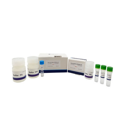 ISO-de Installatie Directe PCR van Ce Uitrusting 500×20ul Rxns voor Polysaccharidepolyphenol Installaties