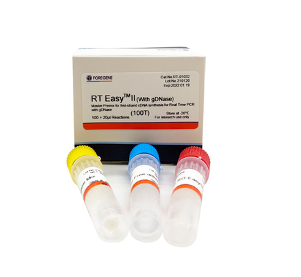 De snelle Gemakkelijke II 25T Omgekeerde Transcriptase Uitrustingen van rechts met DNase voor PCR In real time