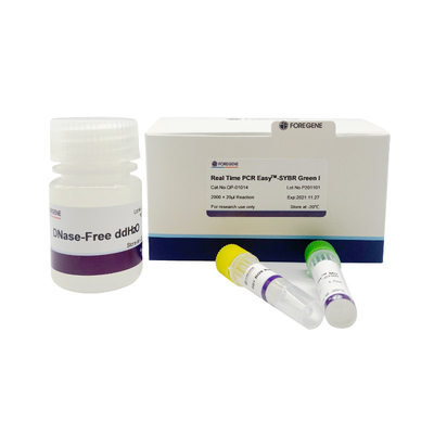 Premix van SYBR Groene I Gemakkelijke Systeempcr Uitrustingen In real time voor PCR Versterkingsreactie