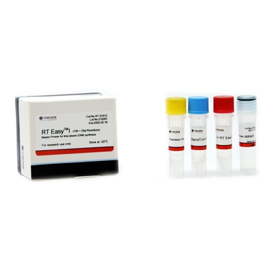 Eerste van de Bundelcdna Synthese Omgekeerde Gemakkelijke I Hoofdpremix van het de Transcriptiesysteem rechts