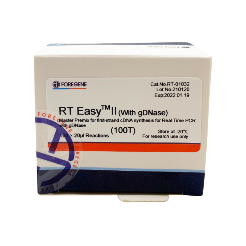 Rechts EasyTM II met Omgekeerde Transcriptieinleidingen om Hoofdpremix voor eerste-Bundelcdna Synthese/PCR In real time te gebruiken