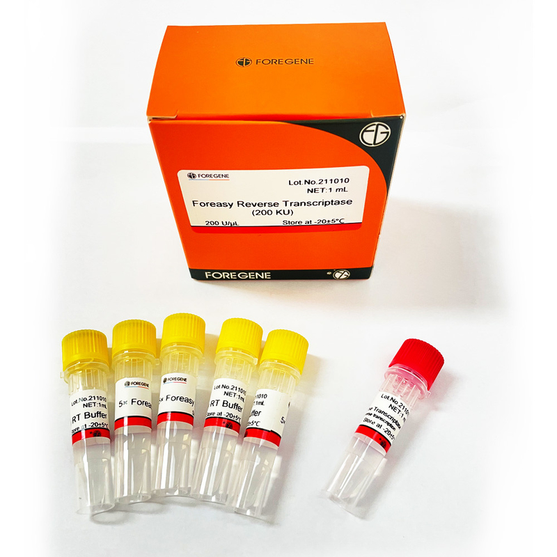 Foreasy m-MLV Omgekeerde Transcriptase voor CDNA-de Uitbreidingspcr van de Syntheseinleiding Uitrustingen met DNA-Polymerase