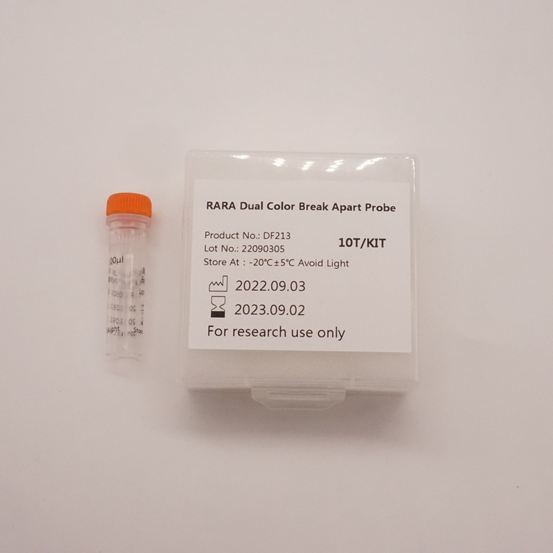 RARA Dual Color Break Apart-sonde voor het detecteren van afwijkingen van het menselijke RARA-gen