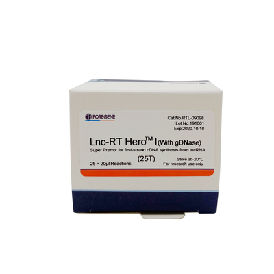 Lnc-rechts HeroTM I (met gDNase) Super Premix voor eerste-bundel cDNA synthese van lncRNA Cat.No.RTL-09098/09099