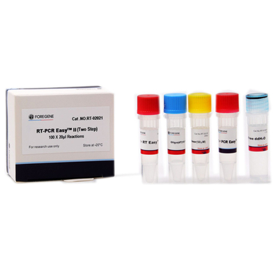 Rechts-PCR EasyTM II Cat.No.RT In twee stappen - 02021/02022 rechts-PCR Hoofdmengelingspcr Uitrustingen In twee stappen