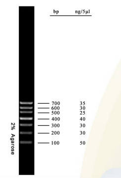 DNA-Tellersagarose Gelpcr de Ladder 700bp van Uitrustingsdna voor Moleculaire Biologietests