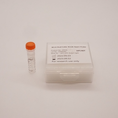 BCL6 Dual Color Break Apart-sonde voor het detecteren van afwijkingen van het menselijke BCL6-gen